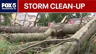Storm clean-up continued in the DMV Friday