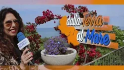 From the Land to the Sea - In Tornareccio for the honey festival; in the countryside for grandma'...