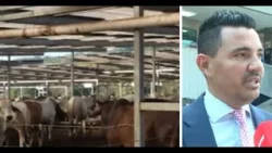 Abogado de absueltos en caso Fénix detalla pasos tras absolución