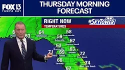 Погода в Тампе | Прогноз на утро четверга