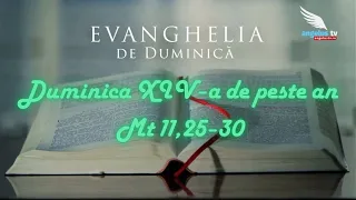 SUNDAY GOSPEL - 14th Sunday in Ordinary Time