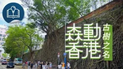 【森動香港】第4集《古樹之名》預告