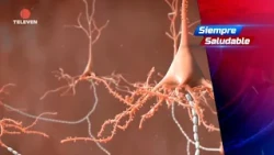Always Healthy: AI could detect epilepsy seizures – The News First Broadcast