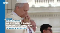 Messa delle Palme con Papa Leone XIV - Domenica 29 marzo ore 10 in diretta su TV2000