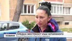 RM TV: Предна жестокост към четириного: Куче от Монтанско е брутално нарязано