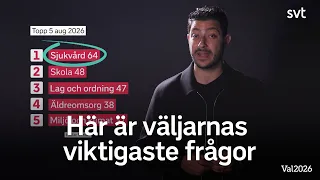 Här är väljarnas viktigaste frågor inför valet 2026
