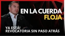 ⚠️ ¡NOBOA EN LA CUERDA FLOJA! La Sentencia que podría SACARLO de Carondelet