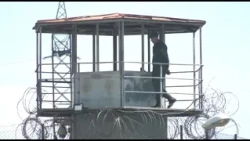 მძიმე ვითარება ციხეებში  - „Amnesty International“-ისა და საიას -ერთობლივი განცხადება