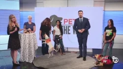 Pets of the Week: Cookie, Archie, Daisy, and Frida!