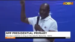 NPP Presidential Primary: Saturday's election is icing on the cake for Bawumia - NAPO (26-01-26)
