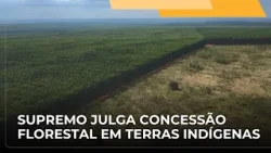 JJ – STF julga ação sobre concessão florestal de terras indígenas e quilombolas à iniciativa privada