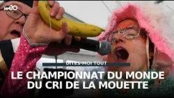 The 2025 Seagull Screaming World Championship