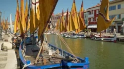 Pula: More, 11. listopada 2026.