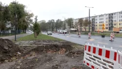 GOSPODARKA, GŁUPCZE! | Budżet obywatelski - głosowanie trwa!