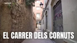 EL CARRER DELS CORNUTS | VA PASSAR AQUÍ