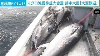 Pacific Bluefin Tuna: Agreement Reached to Increase Catch Quotas After Mexico Reverses Stance (Au...