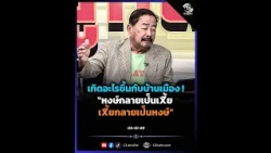 What is happening to our country!? Swans becoming snakes, snakes becoming swans
