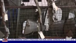 E'TG Giorno 12/03/2026 E'TG Giorno 12/03/2026