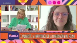 Programa Las Rubias 29.11 - PARTE 1
