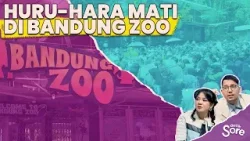 Virus Panleukopenia Jadi Penyebab Kematian Huru dan Hara di Bandung Zoo