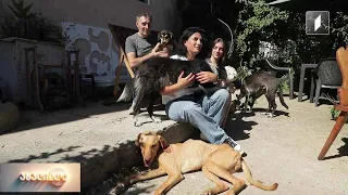 ზრუნვა მიუსაფარ ცხოველებზე - როგორია ჩხაიძეების ოჯახის ყოველდღიურობა ოთხფეხა მეგობრებთან ერთად