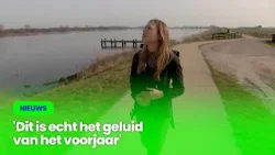 Vogelaar Lobke (19) kijkt haar ogen uit op de Arkenheemse polder