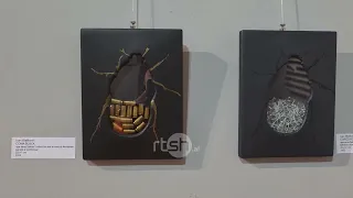 Kolonia e artit në Vlorë, Shqipëri-Kroaci, dy kultura, një gjuhë e përbashkët- Arti