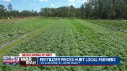 Рост цен на продукты питания на фоне глобального конфликта