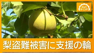5,000 Brand-Name Pears Stolen: After 2 Consecutive Years of Theft, Farmer Considers Closing; 1,30...