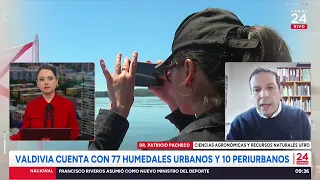 Humedales: Expertos aseguran que fueron clave en el temporal