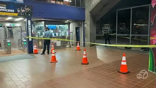Deadly Oakland stabbing spree carried out by single suspect: police