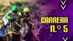 5TA CARRERA - CLUB HIPICO - HIPÓDROMO LA RINCONADA - 01 DE MARZO 2026 ?