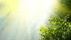 Forecast of heat up to 35 degrees and scattered showers with thunderstorms