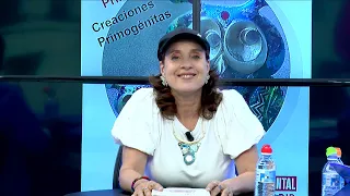 Primogenital Creations 86