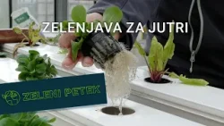 Zeleni petek | Zelenjava za jutri Zeleni petek | Zelenjava za jutri