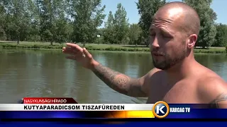 KUTYAPARADICSOM TISZAFÜREDEN