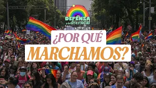 Defensa a la diversidad: ¿Por qué marchamos?