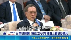 台塑爆量衝新高! 前總裁王文淵身價暴增73億 台塑四寶搶AI商機! 百億股利+獲利上修雙利多 AI轉型助攻台塑四寶! 專家提醒利多後防震盪｜三立財經iNEWS