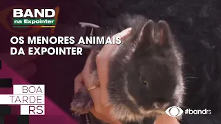 Meet one of the smallest animals at Expointer 2026