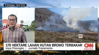 176 Hektare Lahan Hutan Bromo Terbakar