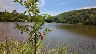 Latest News | Sheriff's office continues investigation into fatal Booneville Lake crash