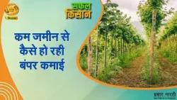 Safal Kisan | सफल किसान: कम जमीन से कैसे हो रही बंपर कमाई | DD Kisan | 17/03/2026