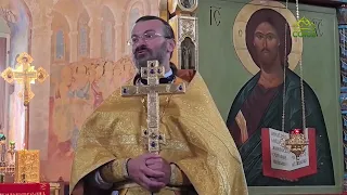 В Александро-Свирском монастыре прошел фестиваль колокольного искусства «Звоны над Свирью»