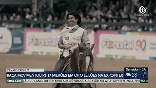 Crioulo horse trade reaches R$ 17 million across eight auctions at Expointer