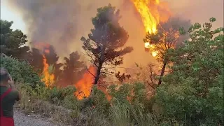 Zjarri në Mallakastër aktiv/Flakët përparojnë drejt Ngraçanit dhe Drenies, autoritetet në gatishmëri