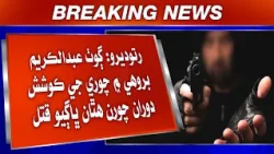Ratodero: Goth Abdul Karim Brohi Mein Chori Ji Koshish Dauran Chorann Hathan Bhaagyo Qatal