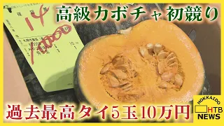 「大浜みやこ」ブランドカボチャ初競り 過去最高タイの５玉10万円で落札　札幌市中央卸売市場