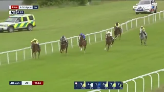 Seven Exciting Races on Day Three of the July Cup Festival
