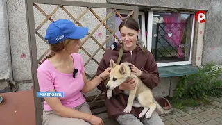 News Time 08/06/2026
