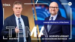 Az ukrán pénzszállítók ügyvédje: pénzmosást nem hatósági engedéllyel szoktak elkövetni – Téma 260311